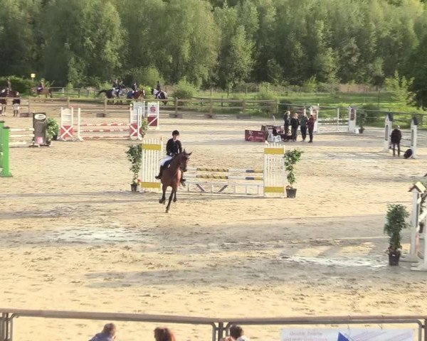 Reitturnier Kamen 2018