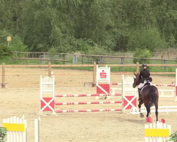 Reitturnier Kamen 2018