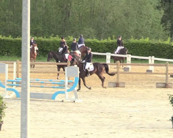 Reitturnier Kamen 2018