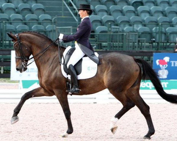 broodmare My Lady (Danish Warmblood, 2000, from Michellino)