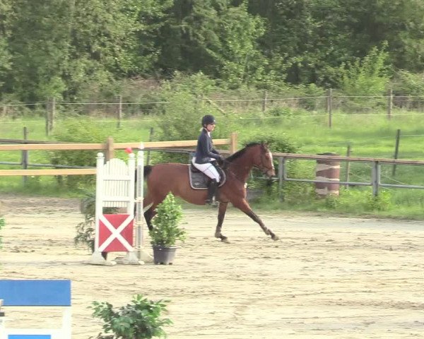 Reitturnier Kamen 2018