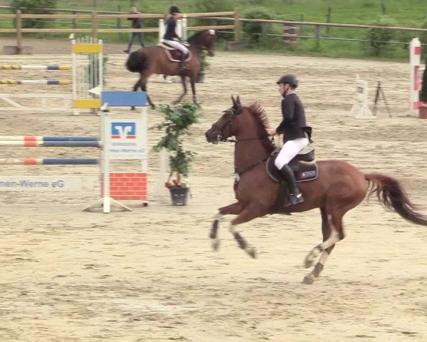 Reitturnier Kamen 2018