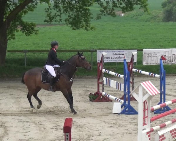 Reitturnier Xanten - Moermter 2018