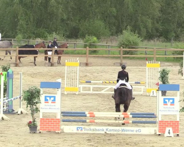 Reitturnier Kamen 2018