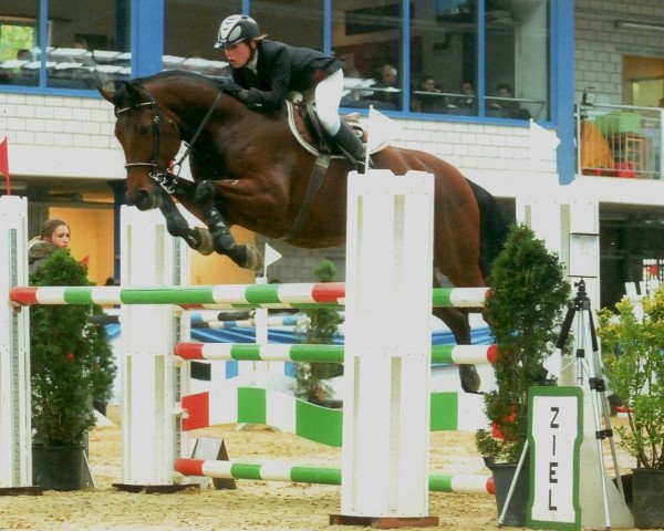 broodmare Chiara RB (Hanoverian, 2001, from Chasseur I)