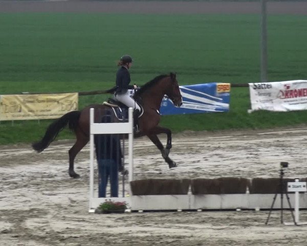 Reitturnier Xanten - Moermter 2018