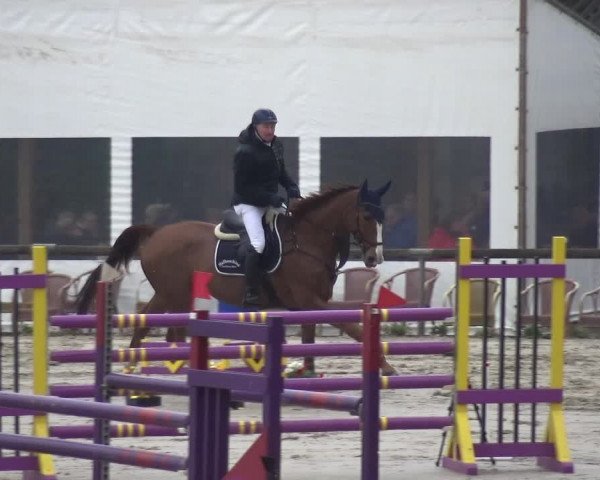 Reitturnier Xanten - Moermter 2018