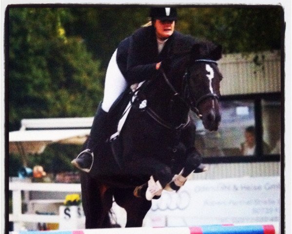 jumper Carlos 220 (Württemberger, 1998, from Contender)