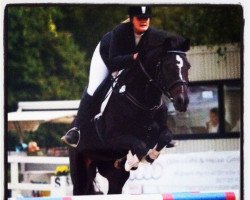 jumper Carlos 220 (Württemberger, 1998, from Contender)