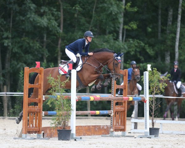 jumper Centman (Württemberger, 2007, from Cento)