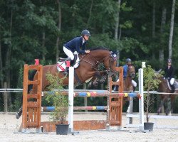 Springpferd Centman (Württemberger, 2007, von Cento)