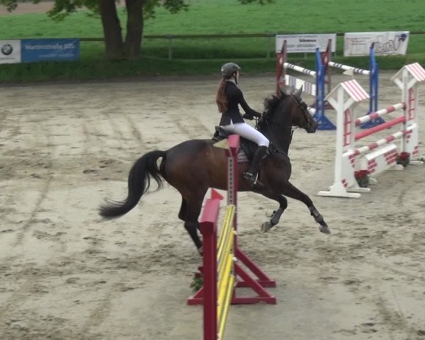 Reitturnier Xanten - Moermter 2018