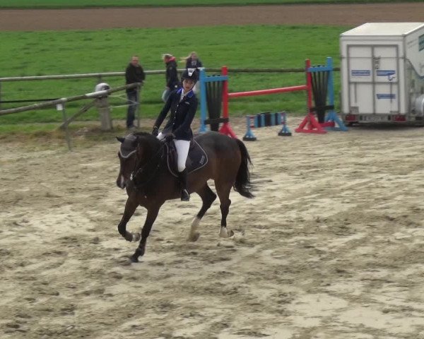 Reitturnier Xanten - Moermter 2018