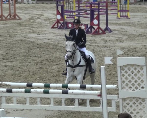 Reitturnier Xanten - Moermter 2018