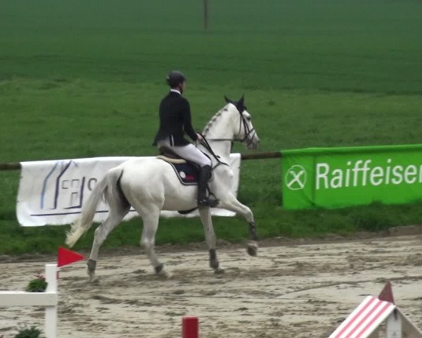 Reitturnier Xanten - Moermter 2018