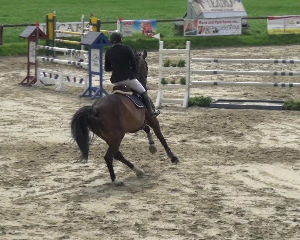 Reitturnier Xanten - Moermter 2018