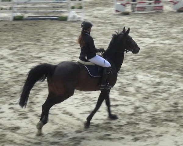 Reitturnier Xanten - Moermter 2018