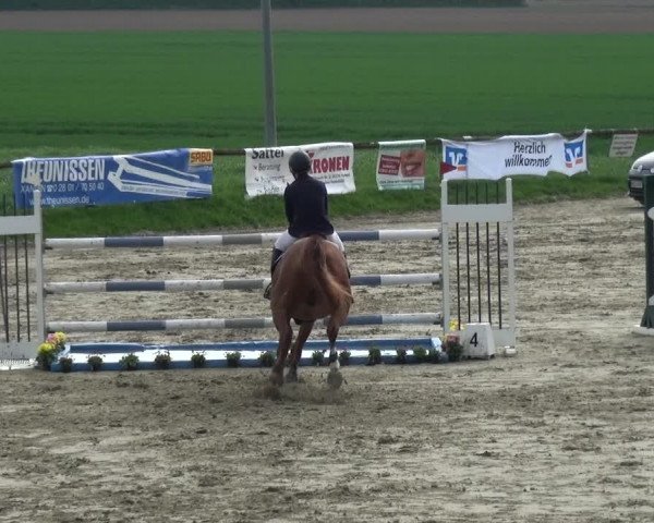 Reitturnier Xanten - Moermter 2018