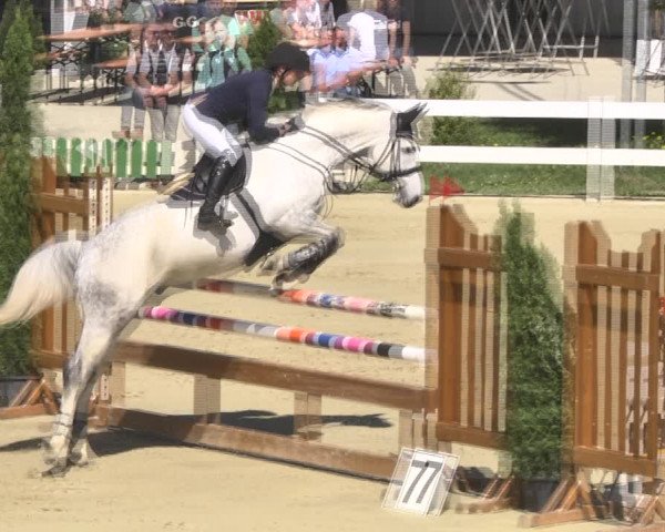 Reitturnier Leutkirch-Diepoldshofen 2018