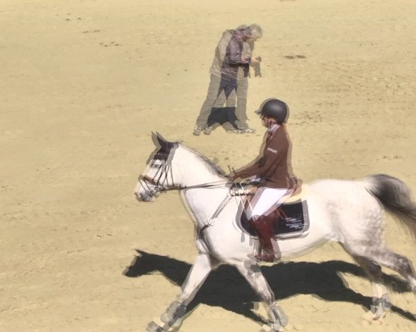 Reitturnier Leutkirch-Diepoldshofen 2018