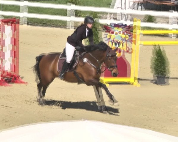 Reitturnier Leutkirch-Diepoldshofen 2018