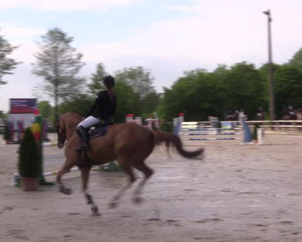 Reitturnier Nienberge 2018