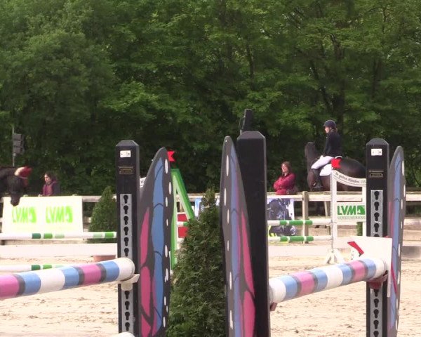 Reitturnier Nienberge 2018