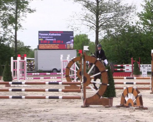 Reitturnier Nienberge 2018