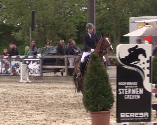 Reitturnier Nienberge 2018