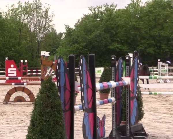 Reitturnier Nienberge 2018