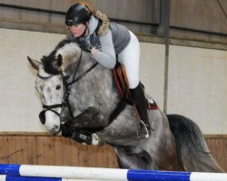 jumper Casper 380 (Hanoverian, 2010, from Clinton H)