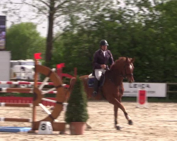 Reitturnier Nienberge 2018