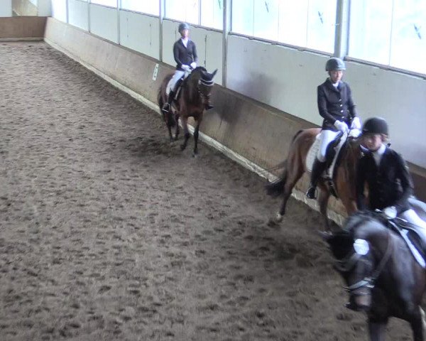 Reitturnier Nienberge 2018