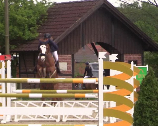 Reitturnier Nienberge 2018