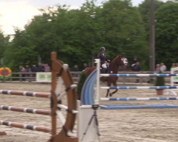 Reitturnier Nienberge 2018