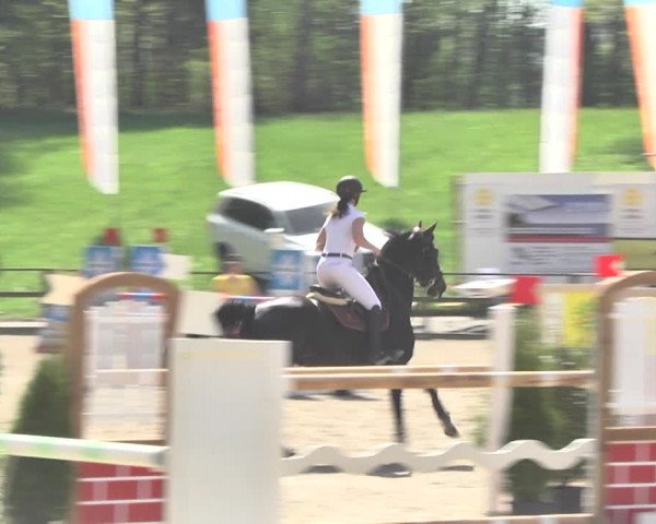 Reitturnier Sins-Attenschwil 2018
