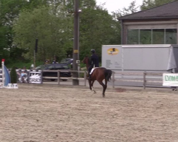 Reitturnier Nienberge 2018