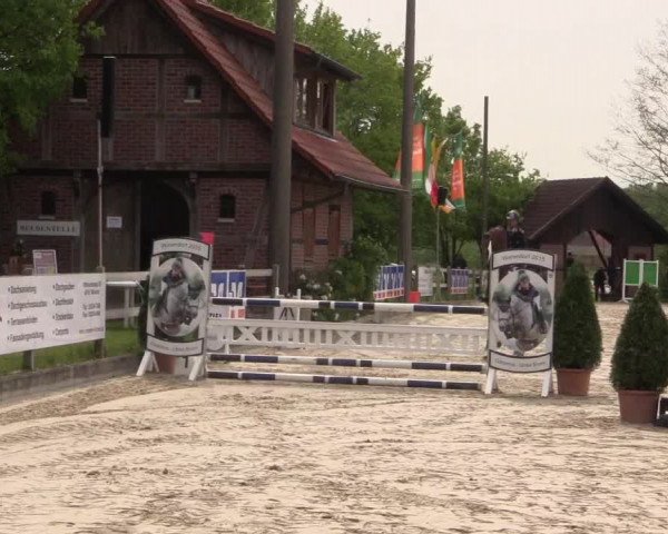 Reitturnier Nienberge 2018