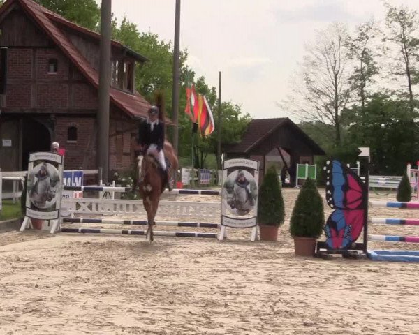Reitturnier Nienberge 2018