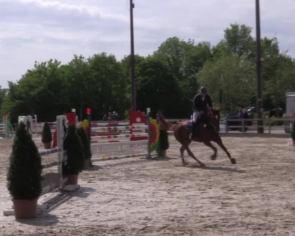 Reitturnier Nienberge 2018