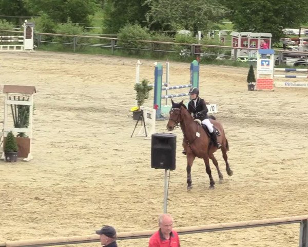 Reitturnier Kamen 2018