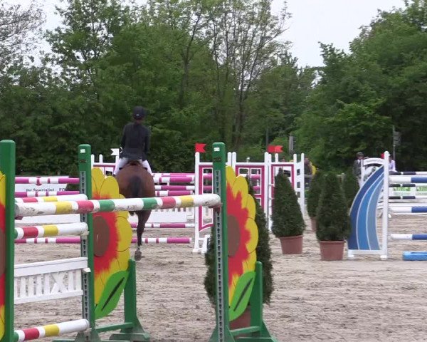 Reitturnier Nienberge 2018