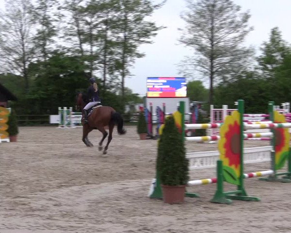 Reitturnier Nienberge 2018