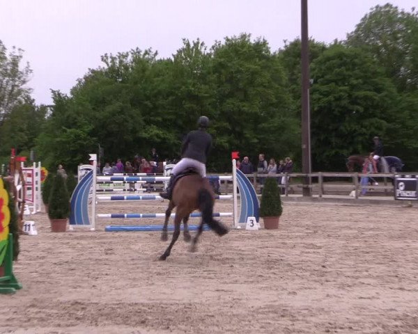 Reitturnier Nienberge 2018