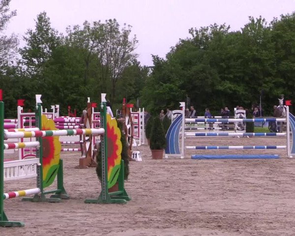 Reitturnier Nienberge 2018