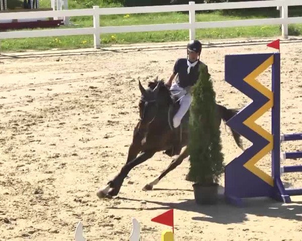 Reitturnier Leutkirch-Diepoldshofen 2018