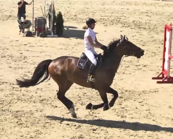 Reitturnier Leutkirch-Diepoldshofen 2018