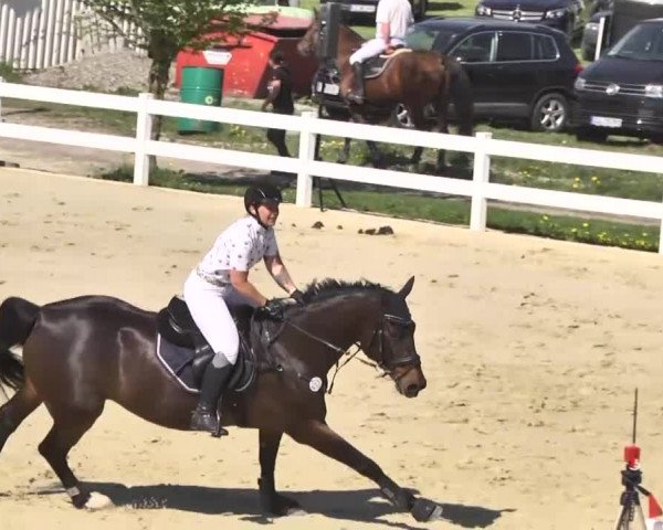 Reitturnier Leutkirch-Diepoldshofen 2018