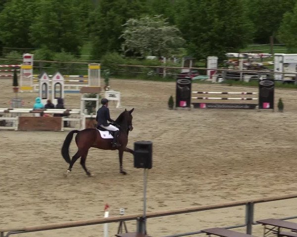 Reitturnier Kamen 2018