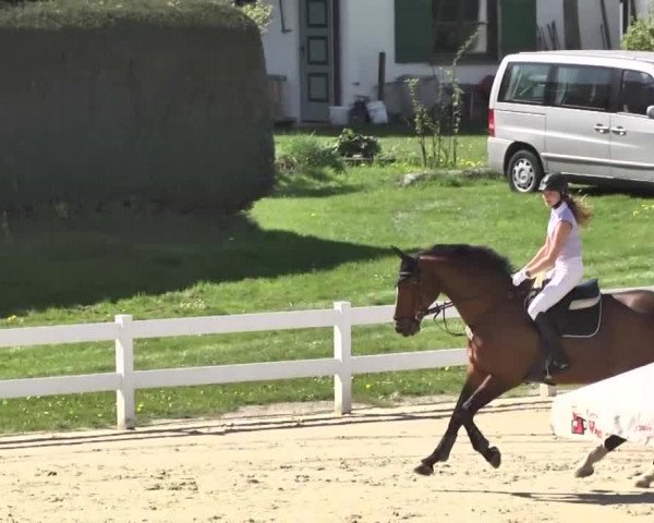 Reitturnier Leutkirch-Diepoldshofen 2018